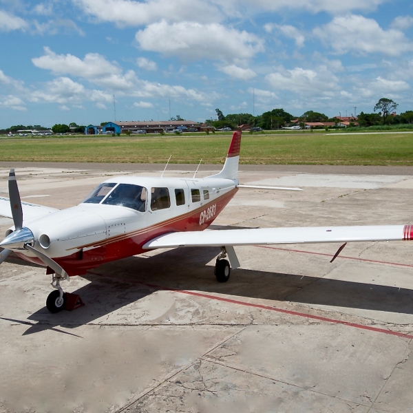 Piper Saratoga | Atelier-yuwa.ciao.jp